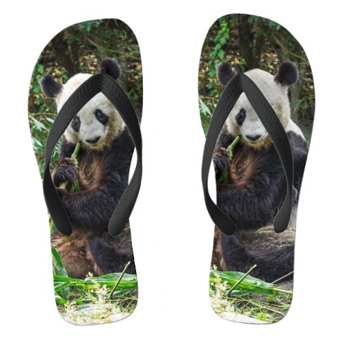 Panda Bear 1 Flip Flops