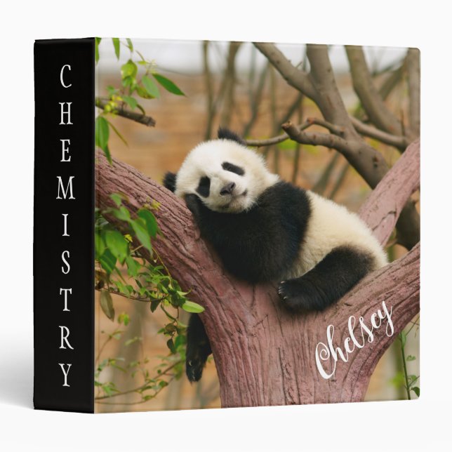 Panda Bear 3 Ring Binder (Front/Spine)
