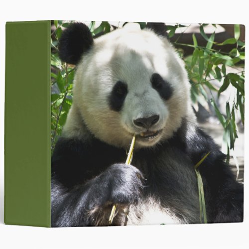 Panda Bear 3 Ring Binder