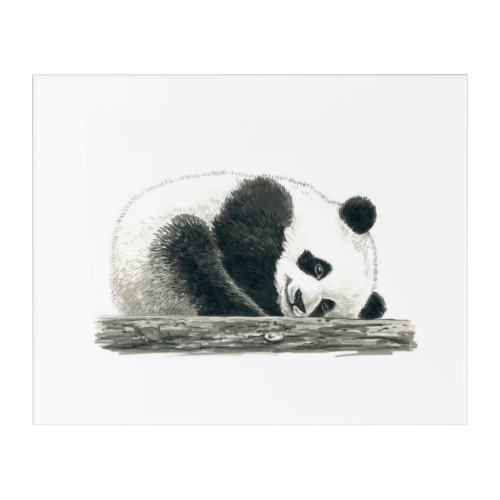 Panda bear acrylic print