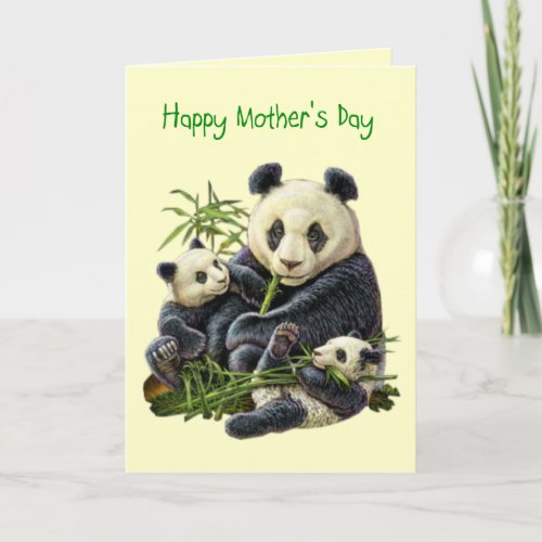 Panda Bear and Cub Mothers Day Card Blank