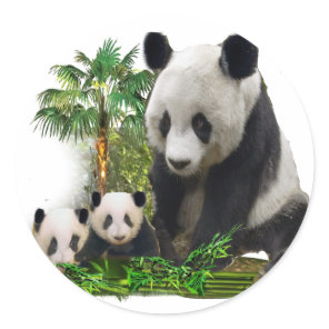 Panda bear and cubs art metal ornament classic round sticker