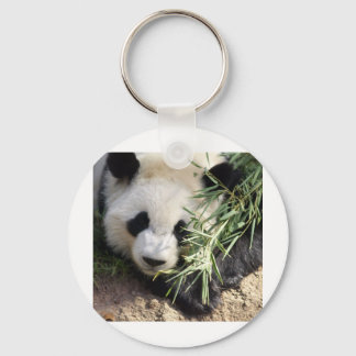 Panda Bear @ Atlanta Zoo Keychain