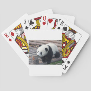 panda bear bears custom personalize Anniversaries Poker Cards