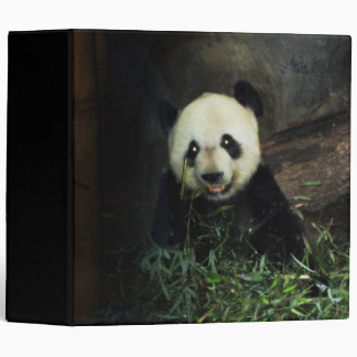 Panda Bear Binder
