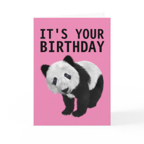 PANDA BEAR BIRTHDAY CARD