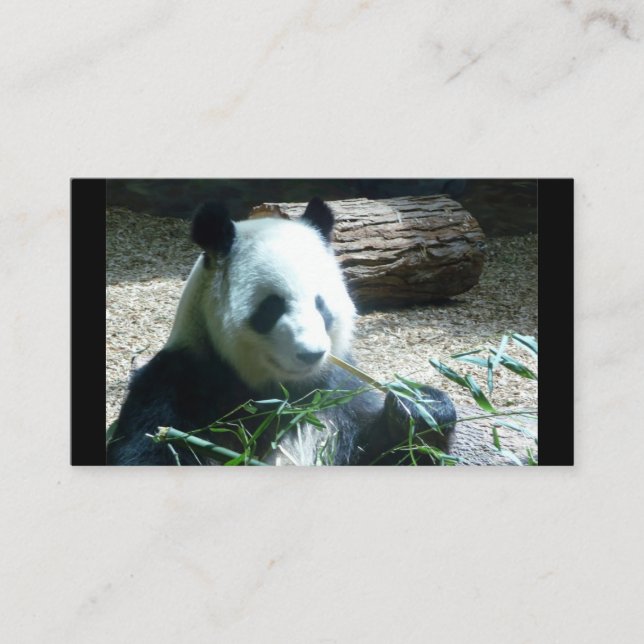 Panda Bear Business Cards (Front)