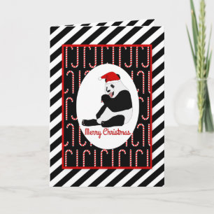 Panda Bear Candy Canes and Stripes Christmas Holiday Card
