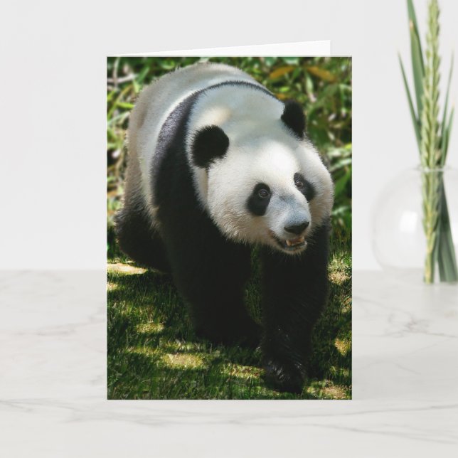 Panda Bear Card (Front)