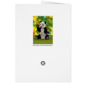 Panda Bear Cards (Back)