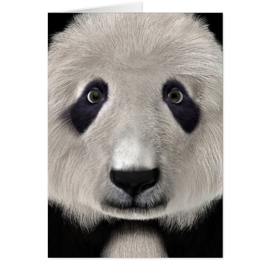Panda Bear Cards (Front)