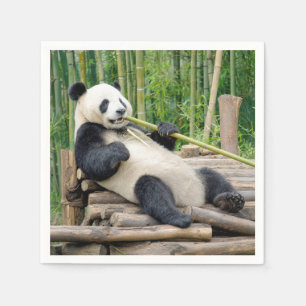 Panda Bear Chewing on a Bamboo Stalk Napkins
