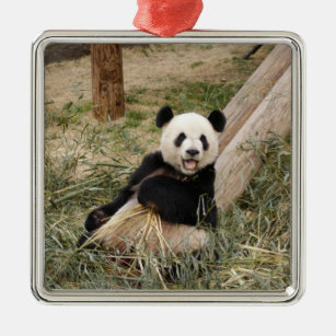 Panda Bear Christmas Ornament