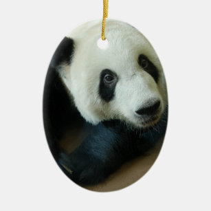 Panda Bear Christmas Ornaments