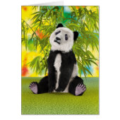 Panda Bear Cub (Front)