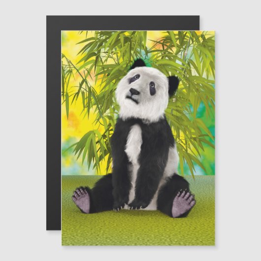 Panda Bear Cub (Front/Back)