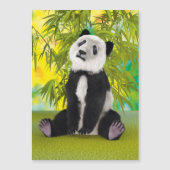 Panda Bear Cub (Front)