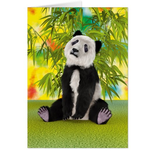 Panda Bear Cub Cards (Front)