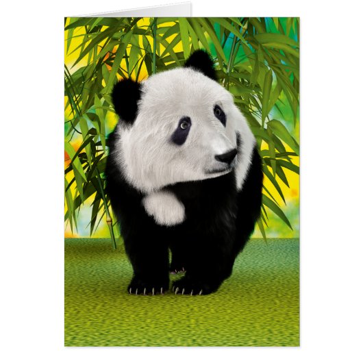 Panda Bear Cub Cards (Front)