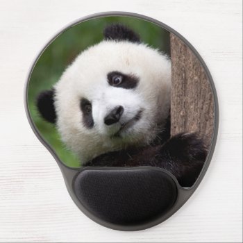 Panda Bear Cub Gel Mouse Pad by CarsonPhotography at Zazzle