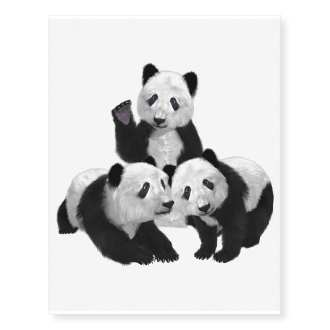 Panda Bear Cub Love Temporary Tattoos (Front)
