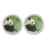 Panda Bear Cufflinks