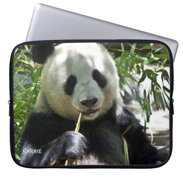 Panda Bear Custom Laptop Case (Front)