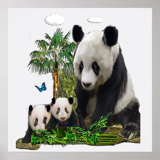 Panda bear designs poster (Front)