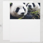 Panda Bear Hugs (Front/Back)