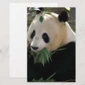 Panda Bear Hugs (Front/Back)