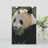 Panda Bear Hugs (Standing Front)