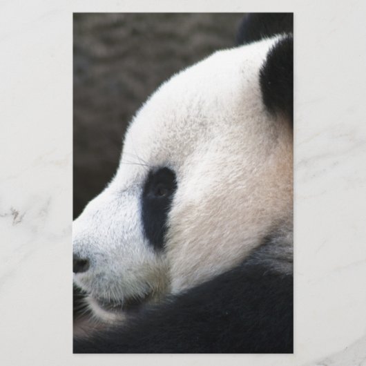 Panda Bear Hugs (Front)