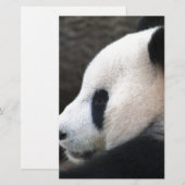 Panda Bear Hugs (Front/Back)