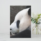 Panda Bear Hugs (Standing Front)
