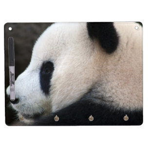 Panda Bear Hugs Dry Erase Board With Keychain Holder