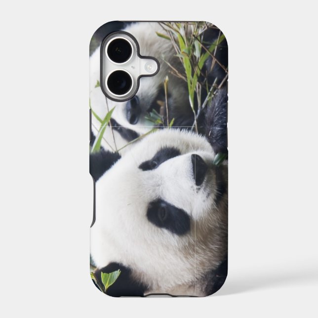 Panda Bear Hugs Iphone Case (Back)
