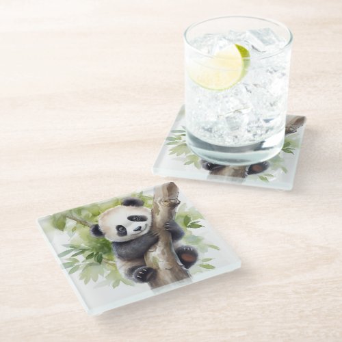 Panda Bear In Tree Glass Coaster
