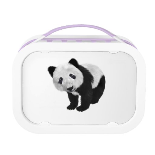 Panda Bear Lunch Box | Zazzle