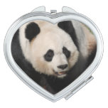 Panda Bear Mirror For Makeup