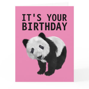 PANDA BEAR OVERSIZED BIRTHDAY CARD
