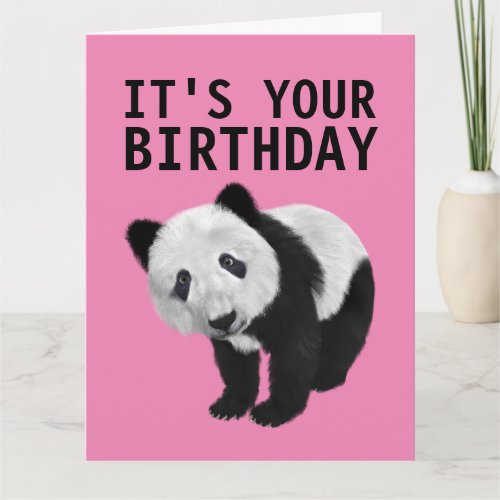 PANDA BEAR OVERSIZED BIRTHDAY CARD
