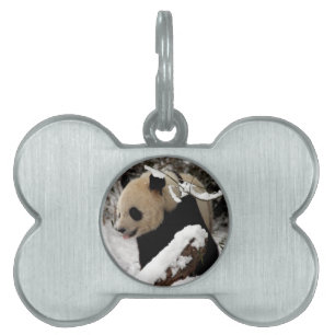 Panda Bear Pet Tag