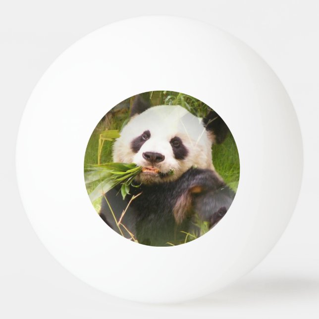 Panda Bear Ping-Pong Ball (Front)