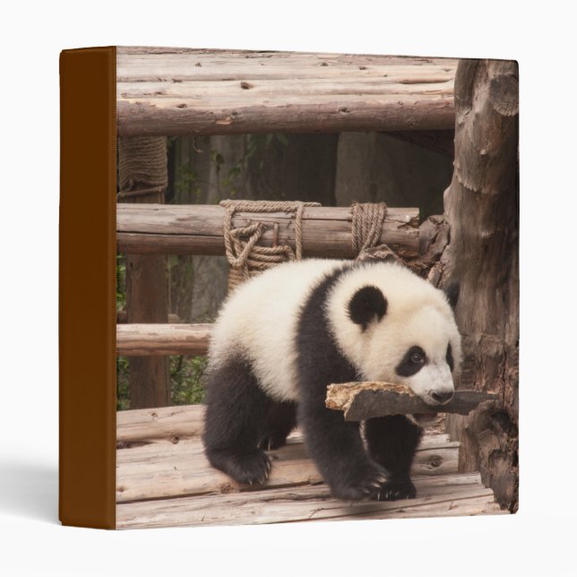 Panda Bear Playful Binder (Front/Spine)