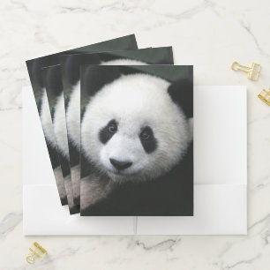 Panda Bear Pocket Folder