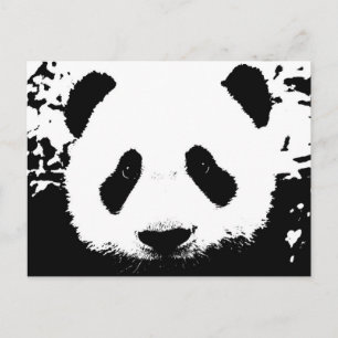 Panda Bear Postcard