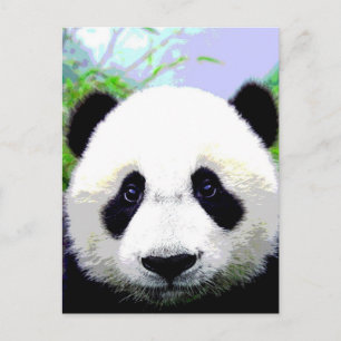 Panda Bear Postcard