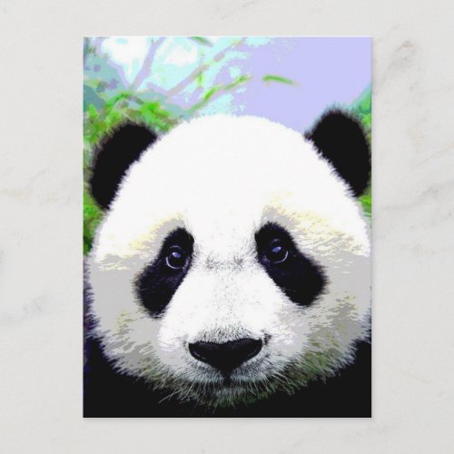 Panda Bear Postcard