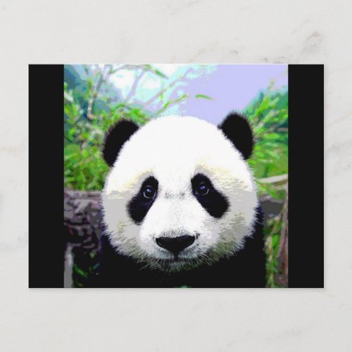 Panda Bear Postcard