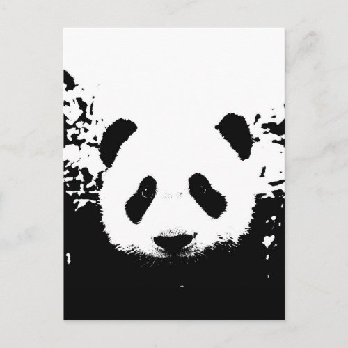 Panda Bear Postcard